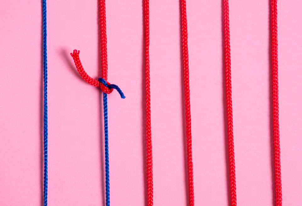 Rope Sample